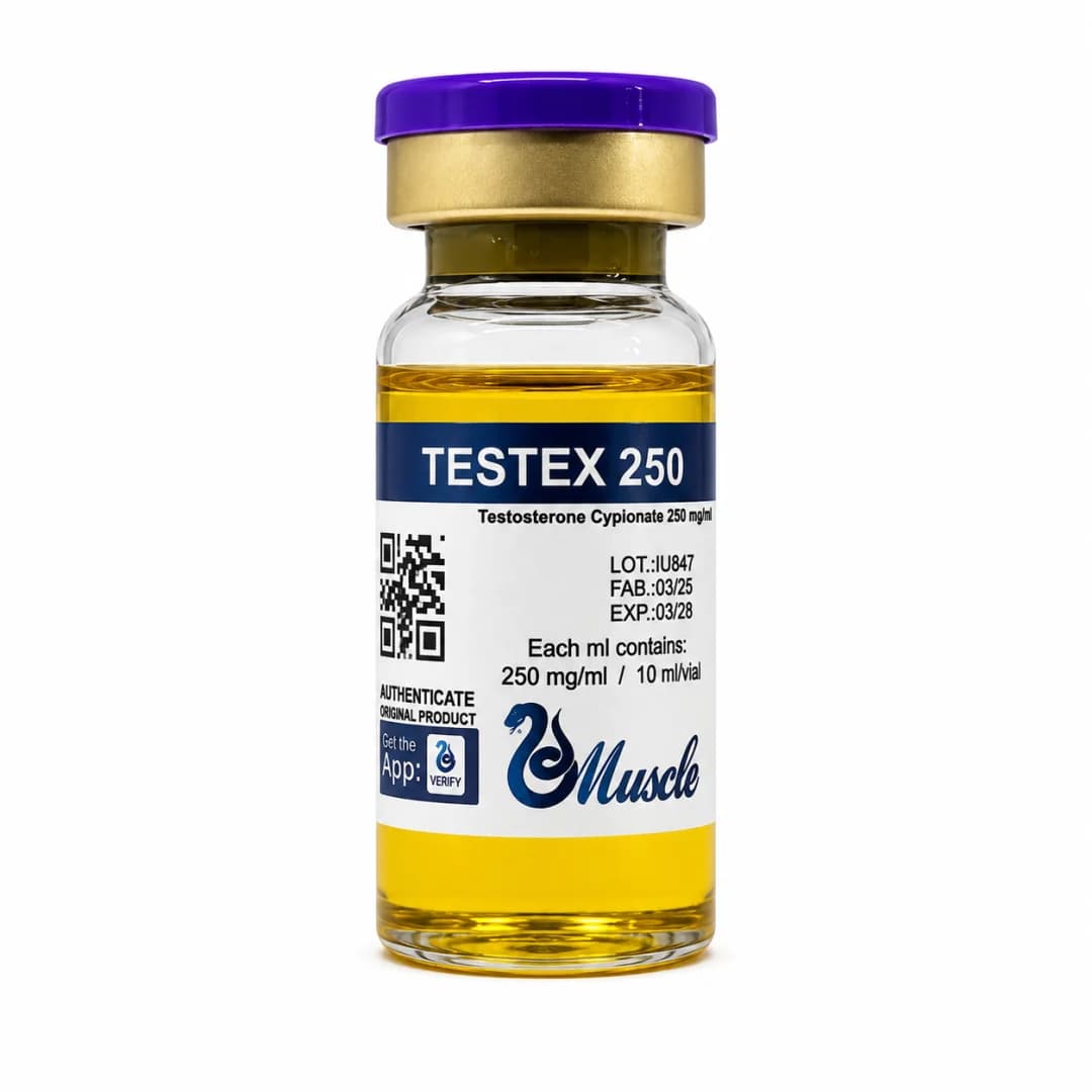 MUSCLE TESTEX 250MG 10ML - 01 VIAL