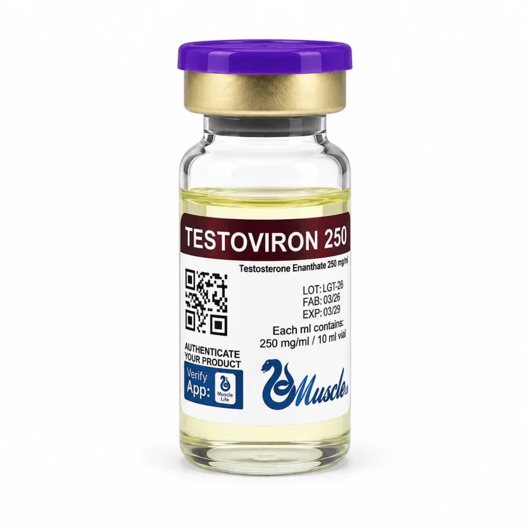 MUSCLE ENANTATO (TESTOVIRON) 250MG 10ML