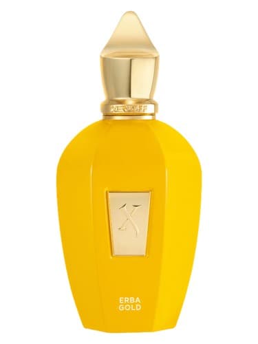 XERJOFF ERBA GOLD EDP 100ML