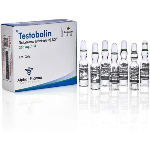 TESTOBOLIN (TESTOSTERONA ENANTHATHE) 250MG - 10 VIAL